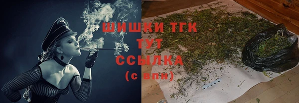 крисы Богородицк