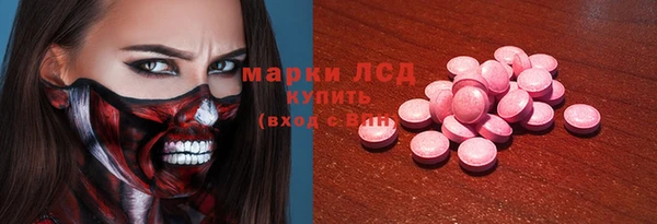 крисы Богородицк