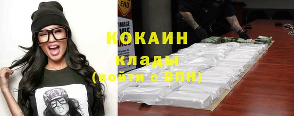 крисы Богородицк