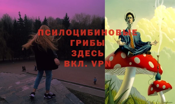 крисы Богородицк