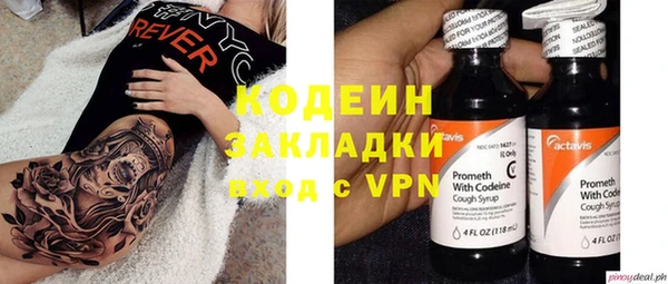 крисы Богородицк