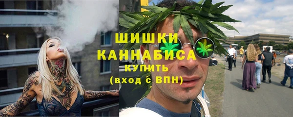 молекула духа Богородск
