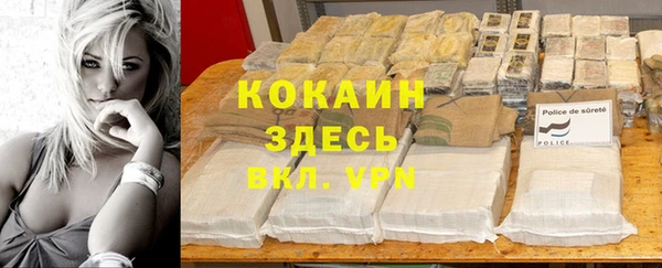 крисы Богородицк
