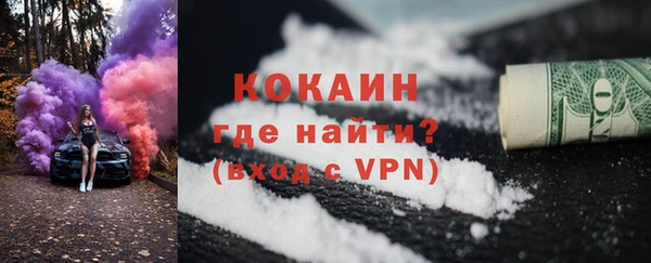 спайс Богданович