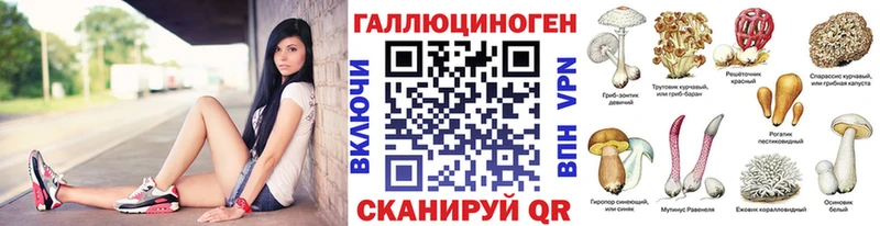 купить наркотики цена  Тбилисская  Псилоцибиновые грибы Cubensis 